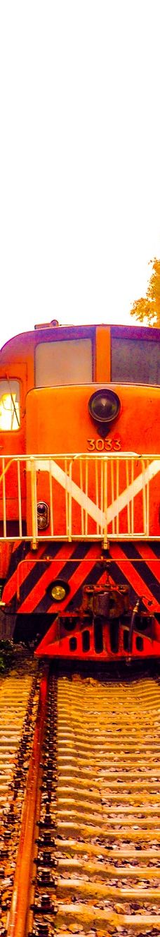 宁波植物园-宁波