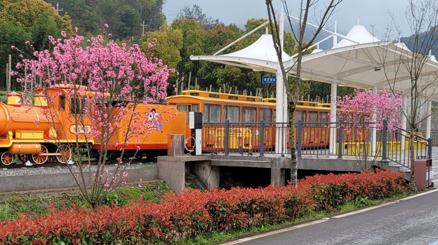 秀岩鹅大队乐园