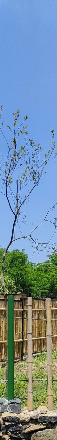 捺山地质公园-仪征