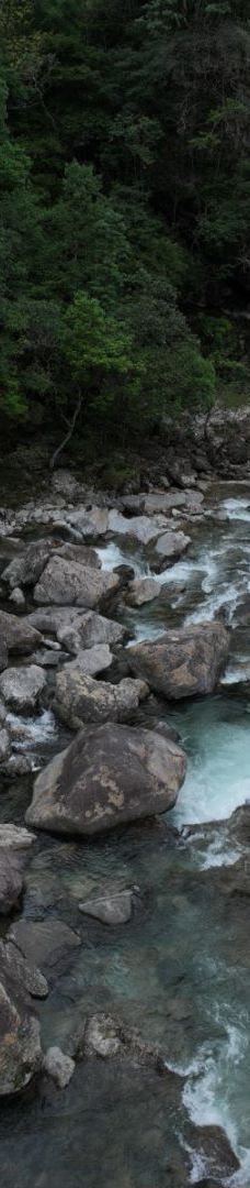 武夷山国家公园1号风景道-武夷山