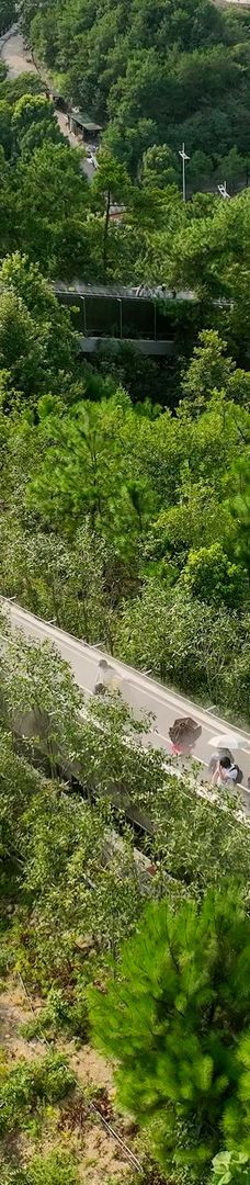 天屿山观景台-淳安