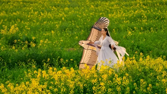 蔡甸消泗油菜花
