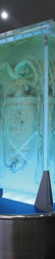 台湾自然科学博物馆-台中