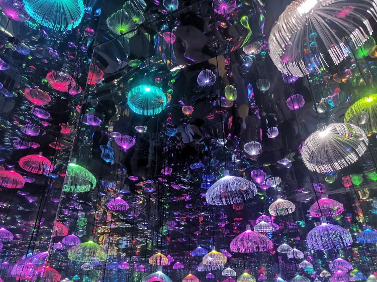 梵高星空艺术馆(成都春熙路旗舰店)
