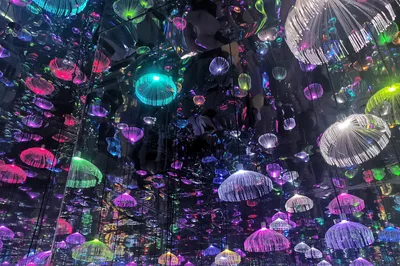 梵高星空艺术馆(成都春熙路旗舰店)