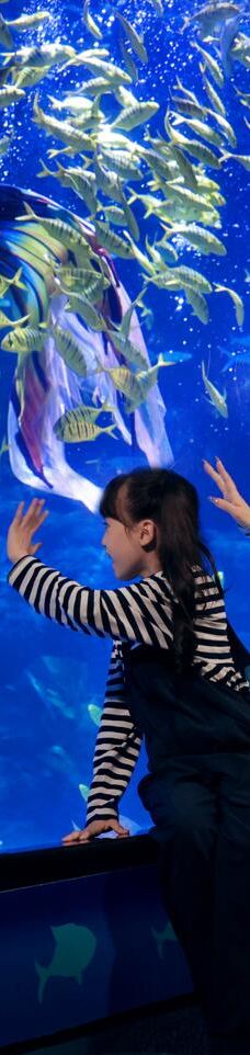 郑州海洋馆-郑州