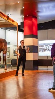 墨尔本博物馆-卡尔敦