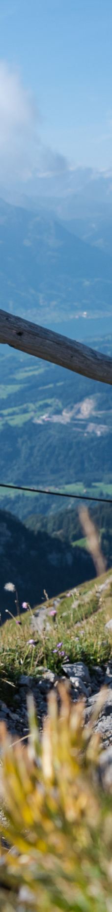 皮拉图斯山-阿尔卑纳赫