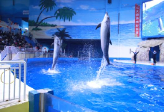 寿光极地海洋世界景点图片