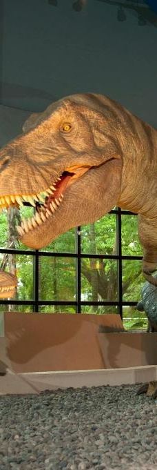 台湾自然科学博物馆-台中