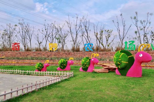 南通奇妙农场