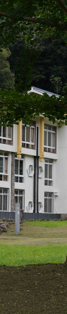 武夷山国家公园1号风景道-武夷山