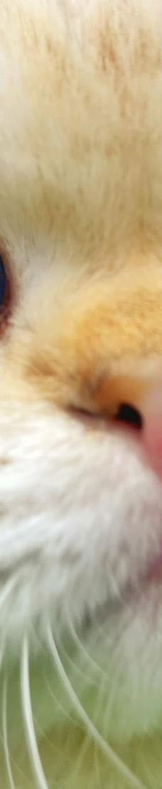 兰阳动植物王国-宜兰