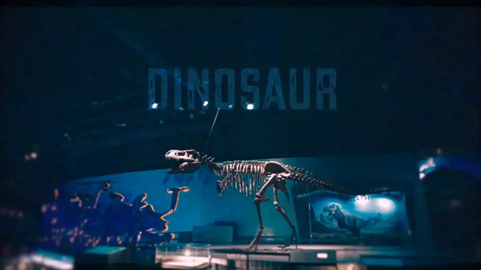 top-video