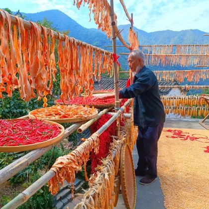 西递+宏村景区+婺源篁岭景区2日1晚跟团游