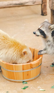 兰阳动植物王国-宜兰