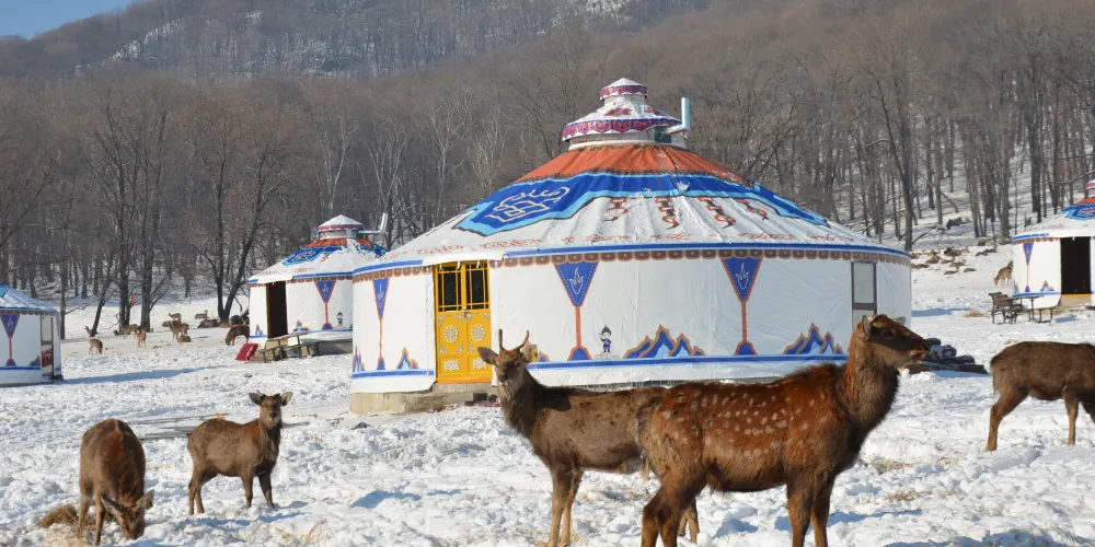永安旅遊