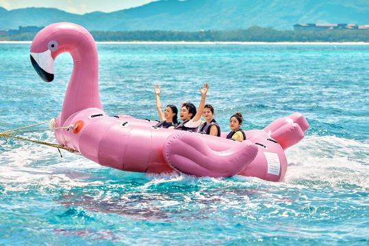 韦依美途