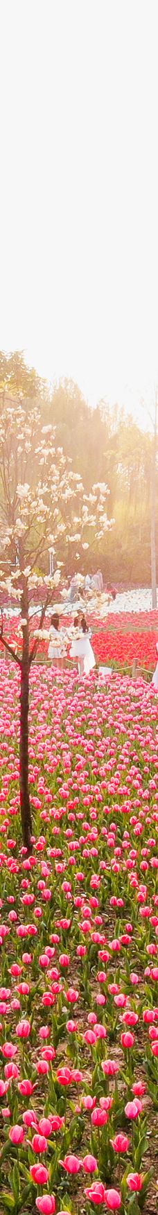 郑州中国绿化博览园-中牟