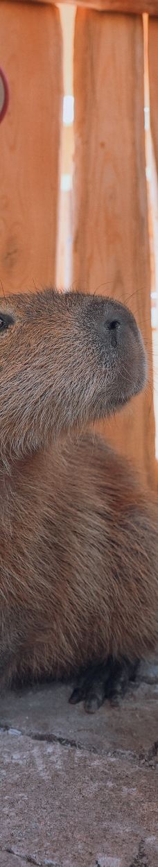 渔田七里海度假区-昌黎