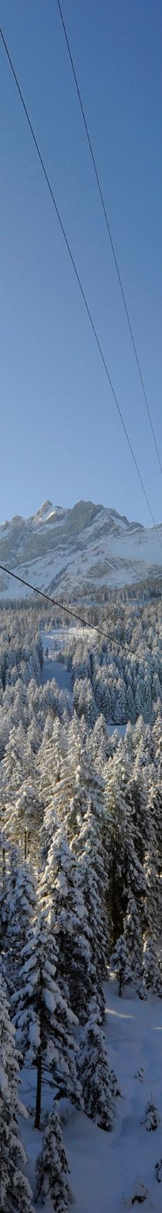 皮拉图斯山-阿尔卑纳赫