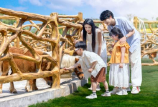 红山体育度假乐园景点图片