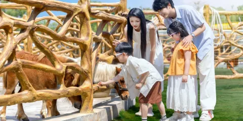 紅山體育度假樂園