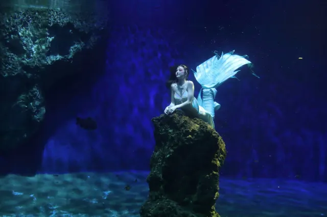 遠雄海洋公園美人魚實境秀