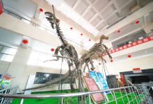 山东省天宇自然博物馆景点图片