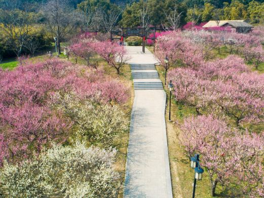 苏州上方山国家森林公园