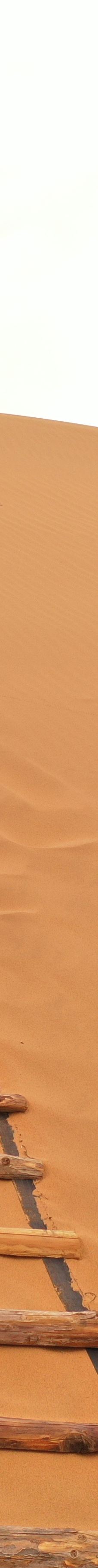 大漠征途露营地-阿拉善左旗