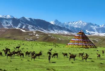 神鹿公园+巴尔斯雪山一日游【观圣山雪景与神鹿亲昵/免费接送】【保证服务质量、绝无任何套路。不催促，想怎么玩随您。】