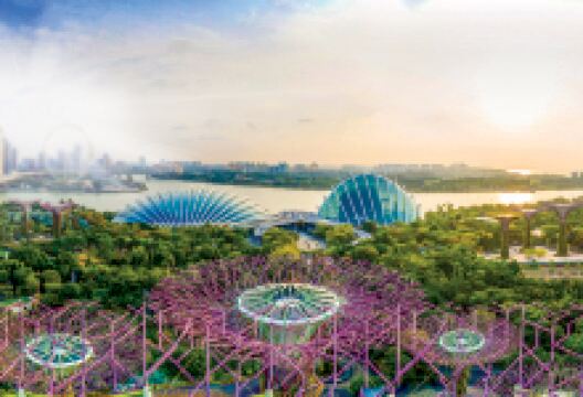 新加坡滨海湾花园景点图片