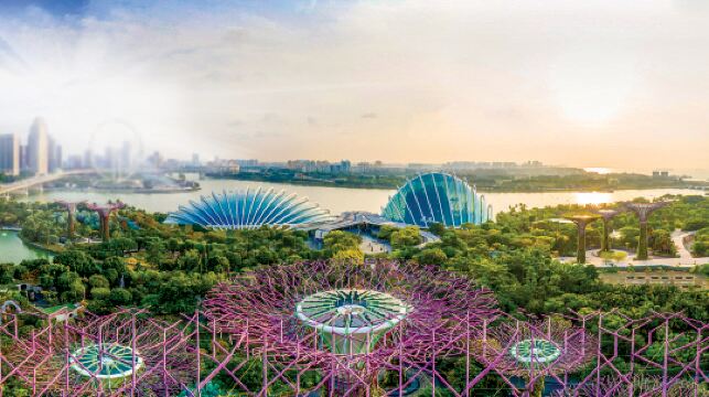 新加坡滨海湾花园