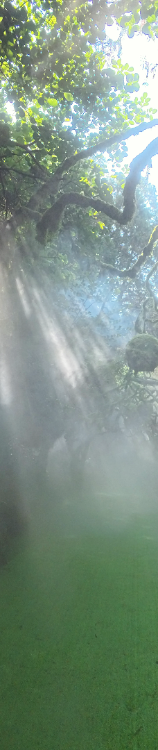 日照天台山-日照