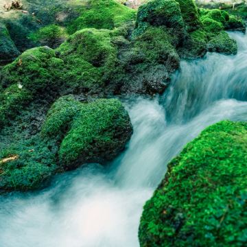 中国南宁+崇左+崇左太平古城+德天跨国瀑布景区+伏那秘境6日5晚私家团