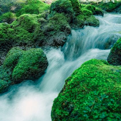 中国南宁+崇左+崇左太平古城+德天跨国瀑布景区+伏那秘境6日5晚私家团