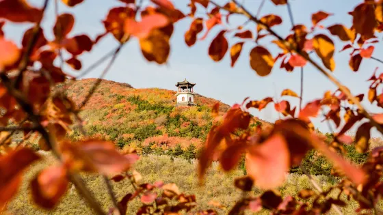 千靈山公園