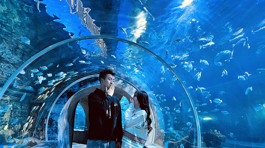 寧夏幻太奇海洋公園