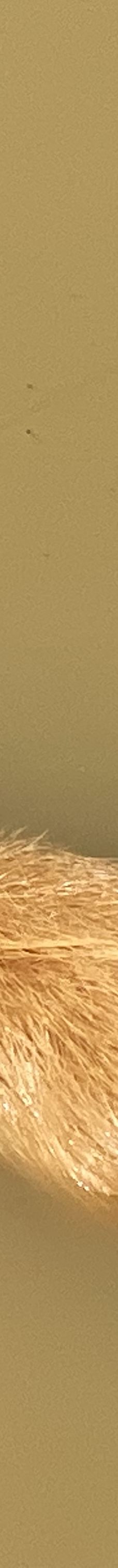 桐城动物园-桐城