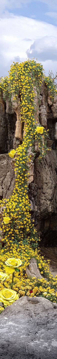 中国春秋淹城旅游区-常州