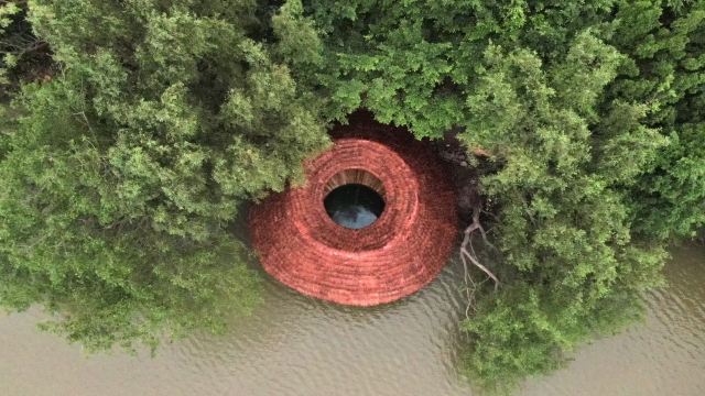 南沙湿地公园景点图片 8