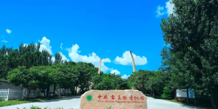 中德古生物博物館