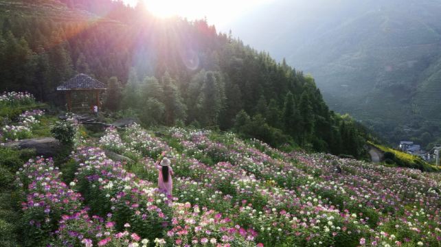 布尼梯田加乌瀑布景区