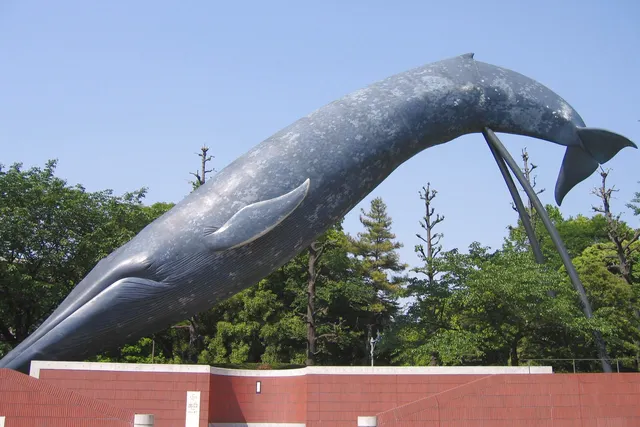 国立科学博物馆-东京
