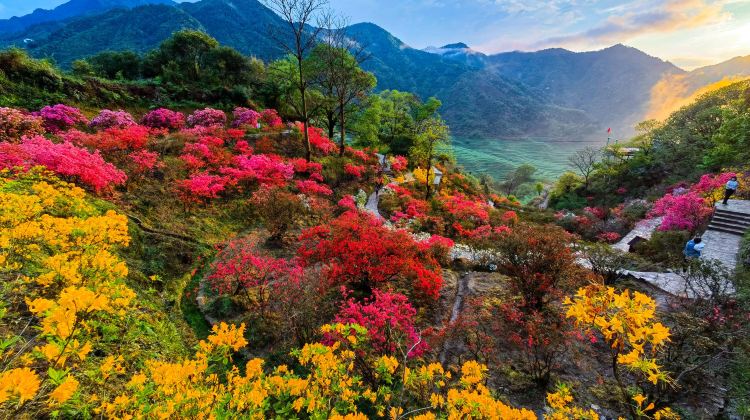 4-Day Huangshan Scenic Area + Hongcun Village + Xidi + Wuyuan Huangling
