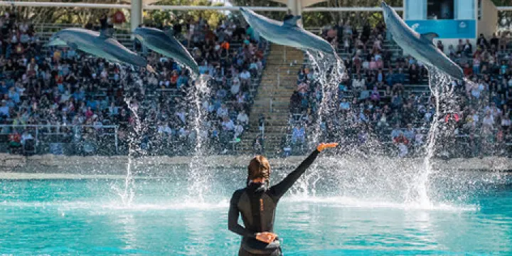 黃金海岸海洋世界