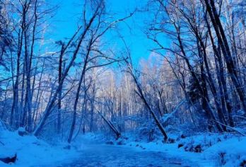 长白山小沙河漂流一日游【鲁能 /松江河镇/万达度假区】【晨雾漫江，玉树垂冰，筏子划破静谧，人随雾动，与雾凇共舞，北国冬日限定浪漫尽在此刻。】