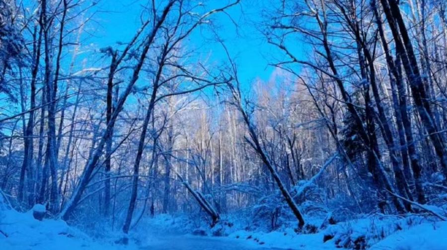 长白山小沙河漂流