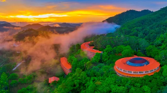 雁南飛茶田景區